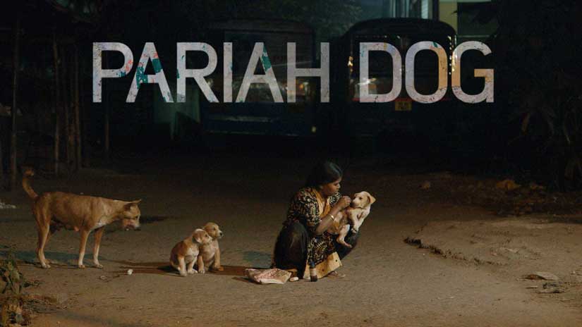 Pariah Dog Documentary